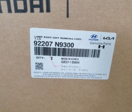 데이라이트 _운전석